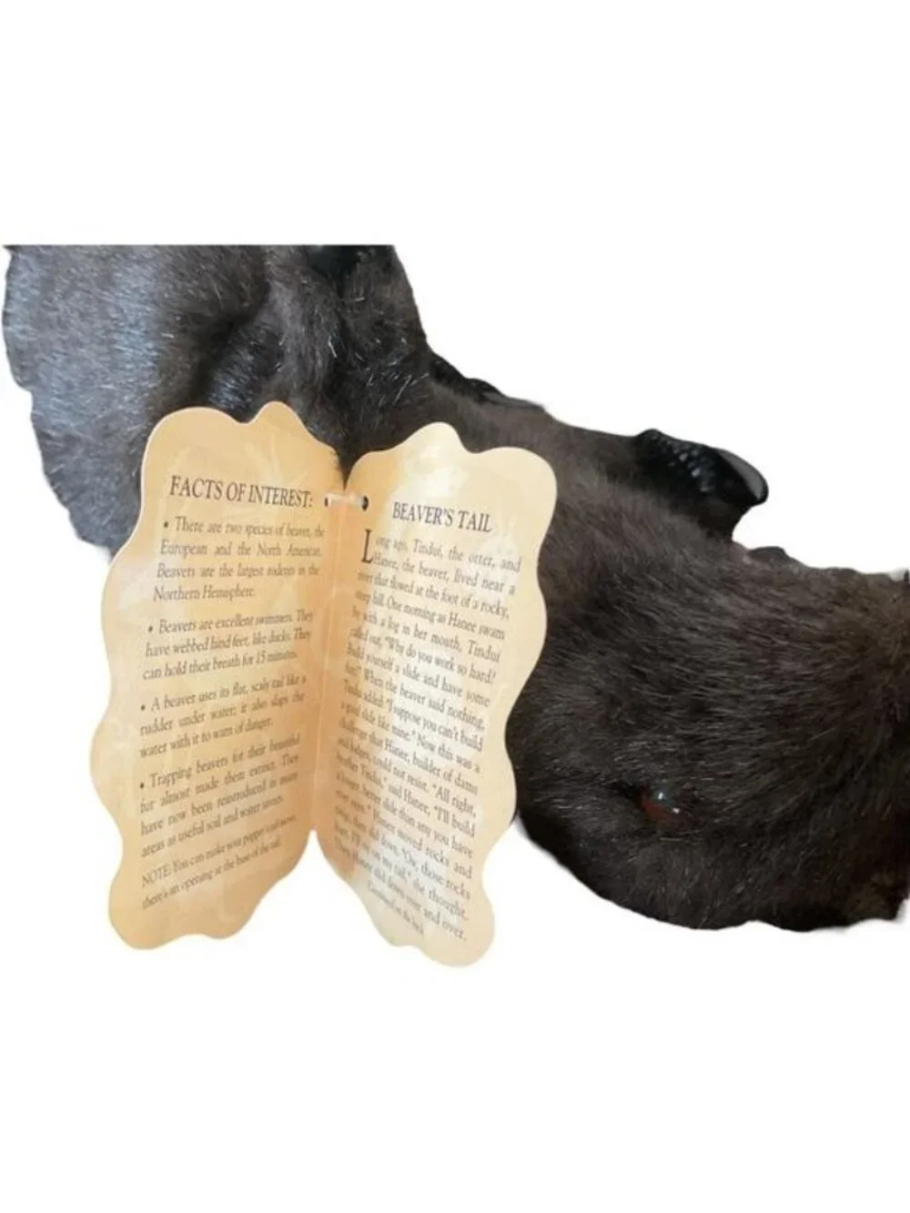 Folkmanis Mini Beaver Finger Puppet Plush Realistic Stuffed Animal Toy 7